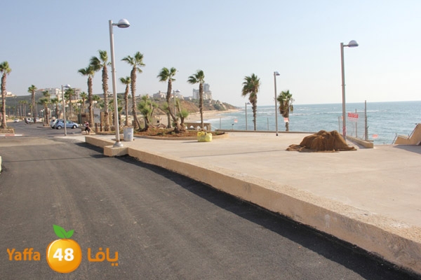 shate2motanazah 902 (1).JPG